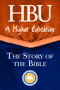 Story of the Bible - 1 License