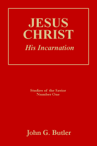 Bssincarnation