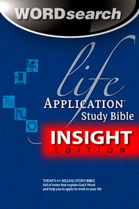Lainsight