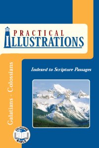 Newbook7