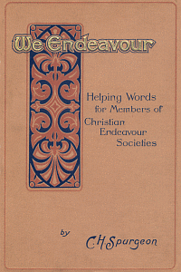 Weendeavour