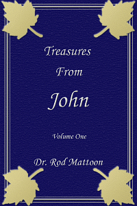Treasjohn
