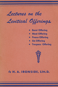 Ironsidelevitical
