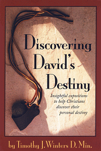 Wintersdaviddestiny