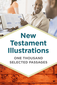 Nt illustrations