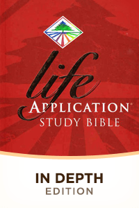 Life application in depth