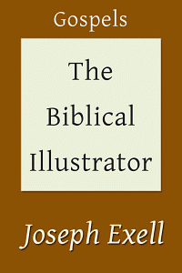 Biblicalillustgospels