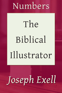 Biblicalillustnumbers