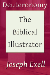 Biblicalillustdeuteronomy