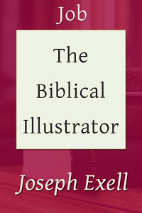 Biblicalillustjob