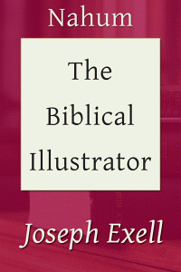 Biblicalillustnahum