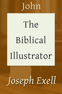 Biblicalillustjohn