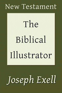Biblicalillustnt