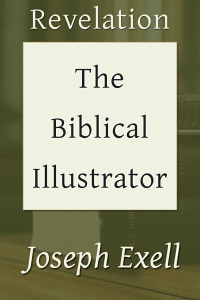 Biblicalillustrevelation