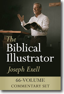 Biblicalillustrator66