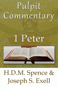 Thepulpitcmty1peter