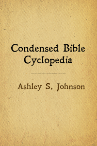 Condensed bib cyclo cover