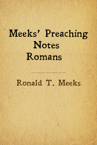 Meeksromans