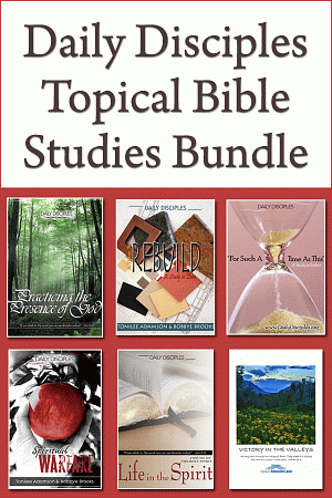 Dailydisctopbundle
