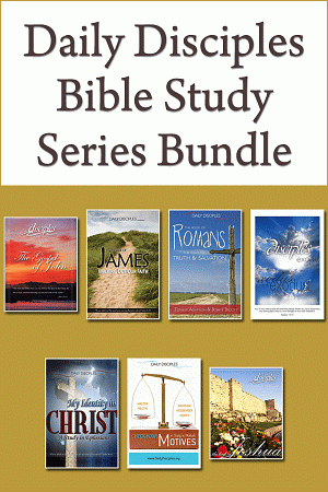 Dailydiscbundle