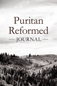 Puritan reformed