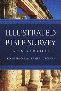 Illustratedbibsurvey