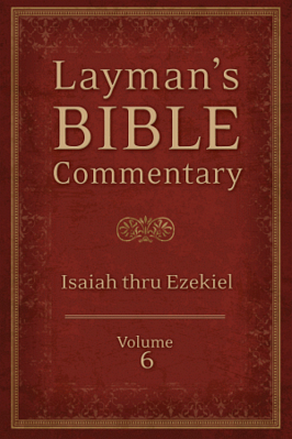 Laymanbibcommvol6