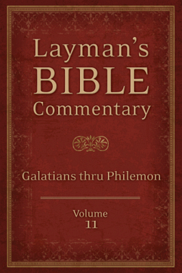 Laymanbibcommvol11