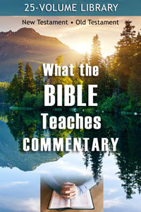 Whatbibleteachesx