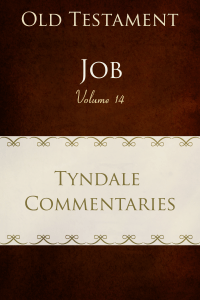 Tyndalecommjob