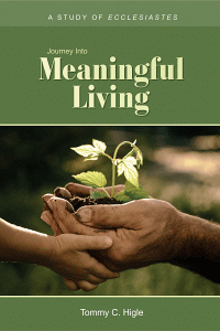 Meaningfulkjv