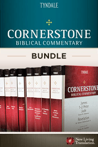 Cornerstone bundle