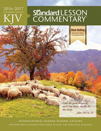Standardlessoncom17kjv